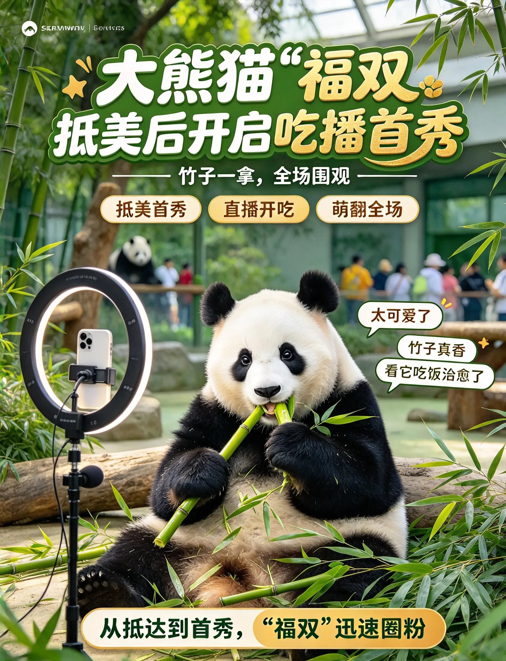 大熊猫“福双”抵美后开启“吃播”首秀：一口竹子，嚼出的是十年之约的第一口滋味